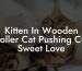 Kitten In Wooden Stroller Cat Pushing Cute Sweet Love