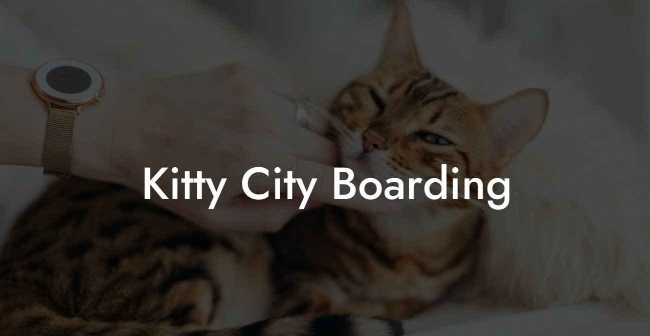 Kitty City Boarding
