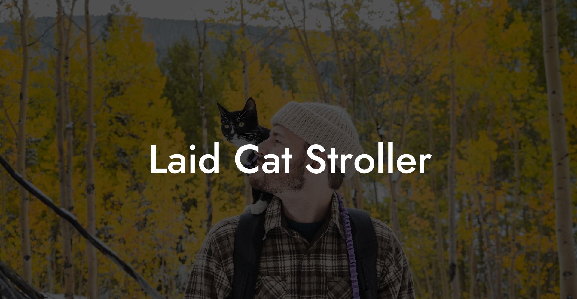 Laid Cat Stroller