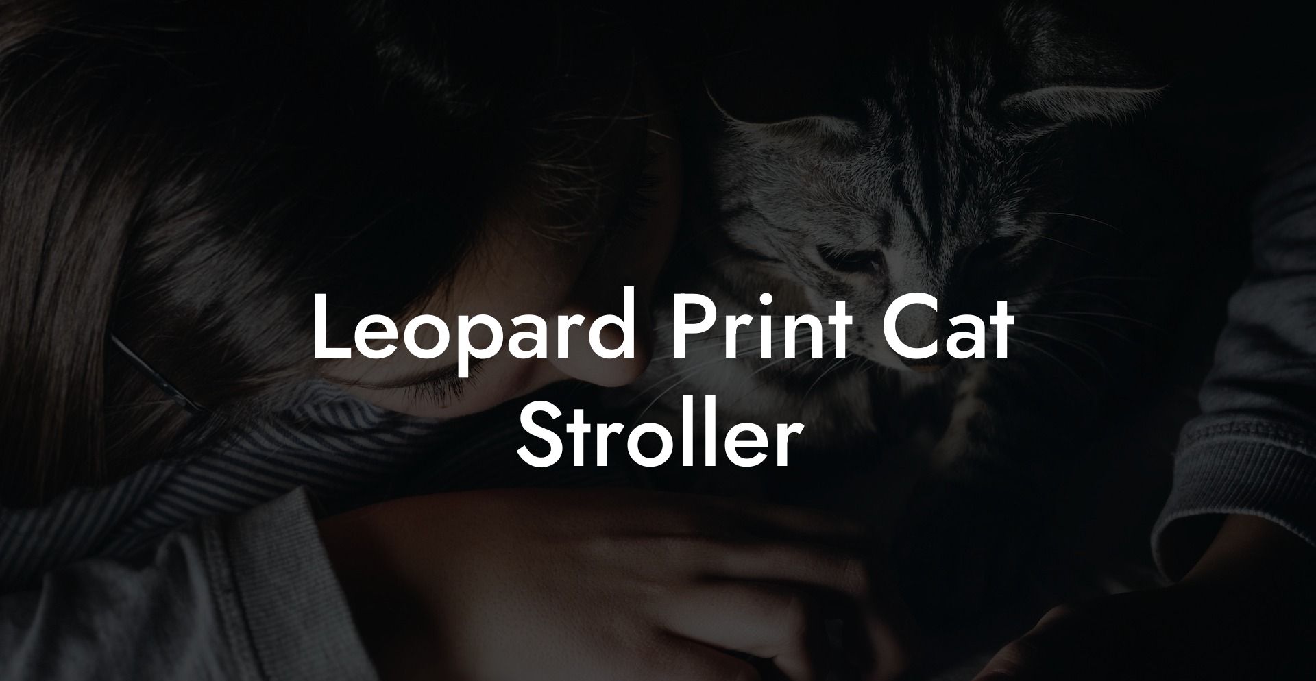 Leopard Print Cat Stroller