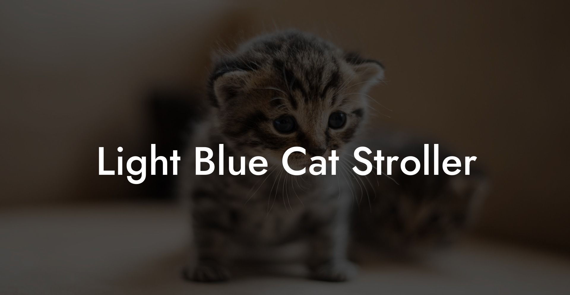 Light Blue Cat Stroller