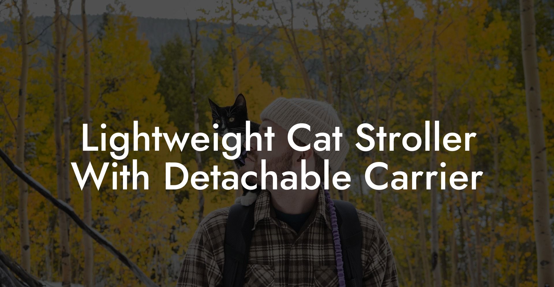 Lightweight Cat Stroller With Detachable Carrier