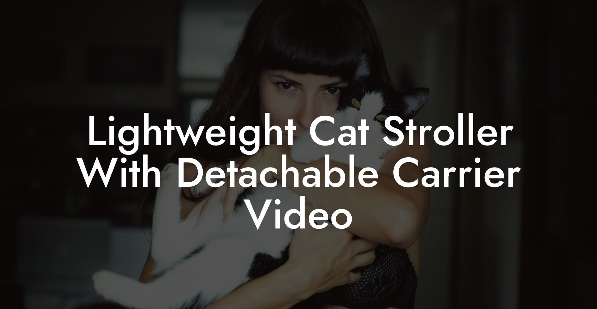 Lightweight Cat Stroller With Detachable Carrier Video