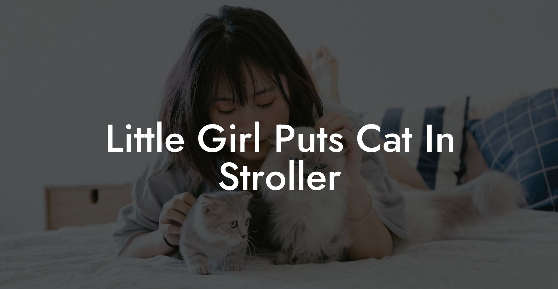 Little Girl Puts Cat In Stroller