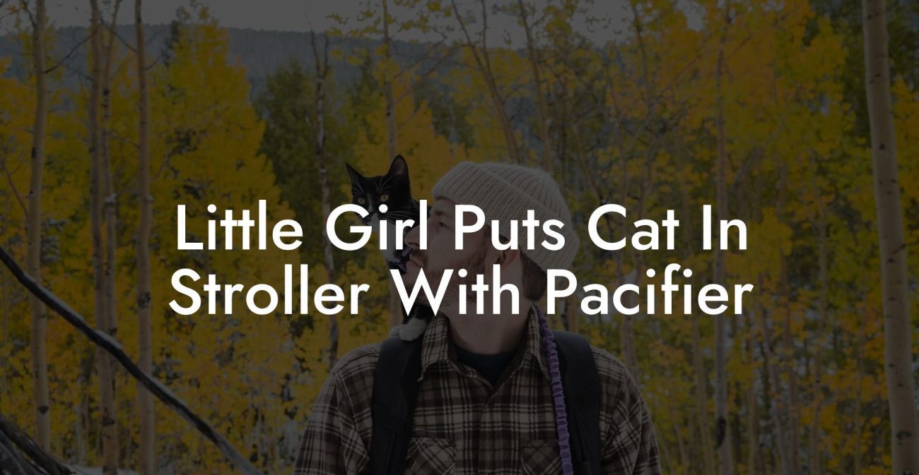 Little Girl Puts Cat In Stroller With Pacifier