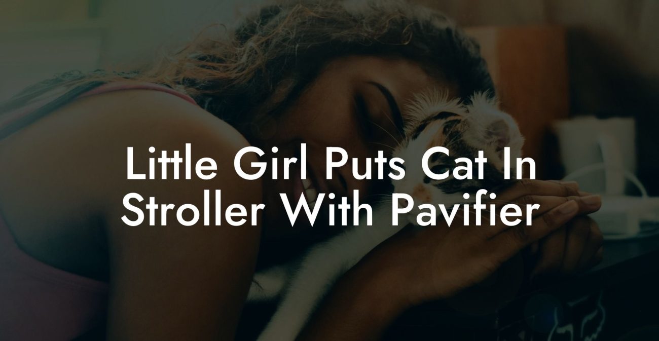 Little Girl Puts Cat In Stroller With Pavifier