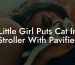 Little Girl Puts Cat In Stroller With Pavifier