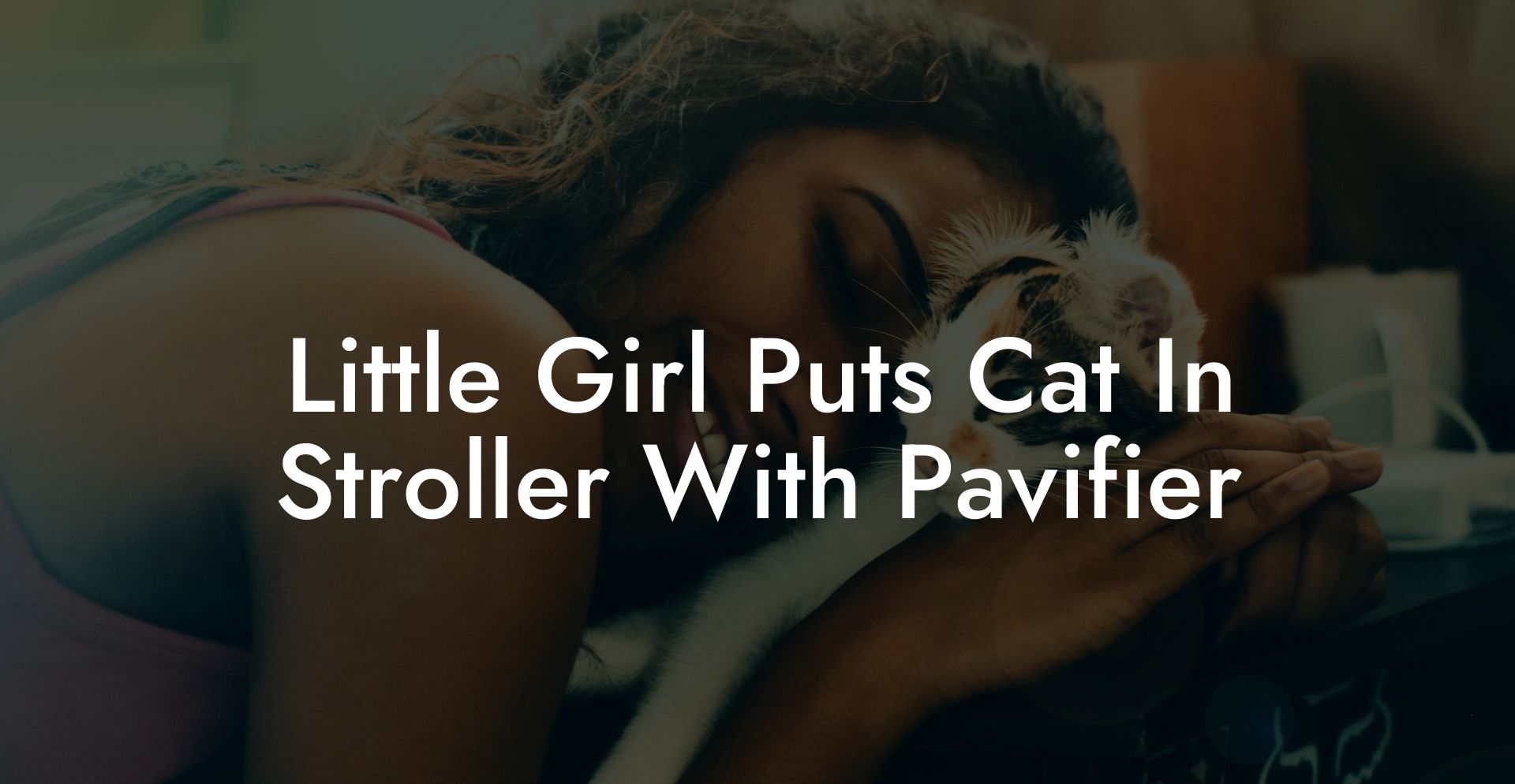 Little Girl Puts Cat In Stroller With Pavifier