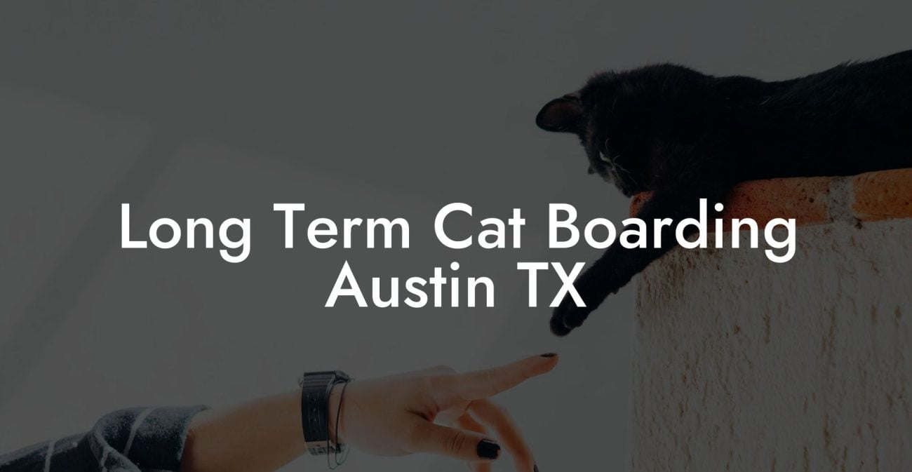 Long Term Cat Boarding Austin TX