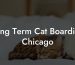 Long Term Cat Boarding Chicago