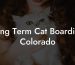 Long Term Cat Boarding Colorado