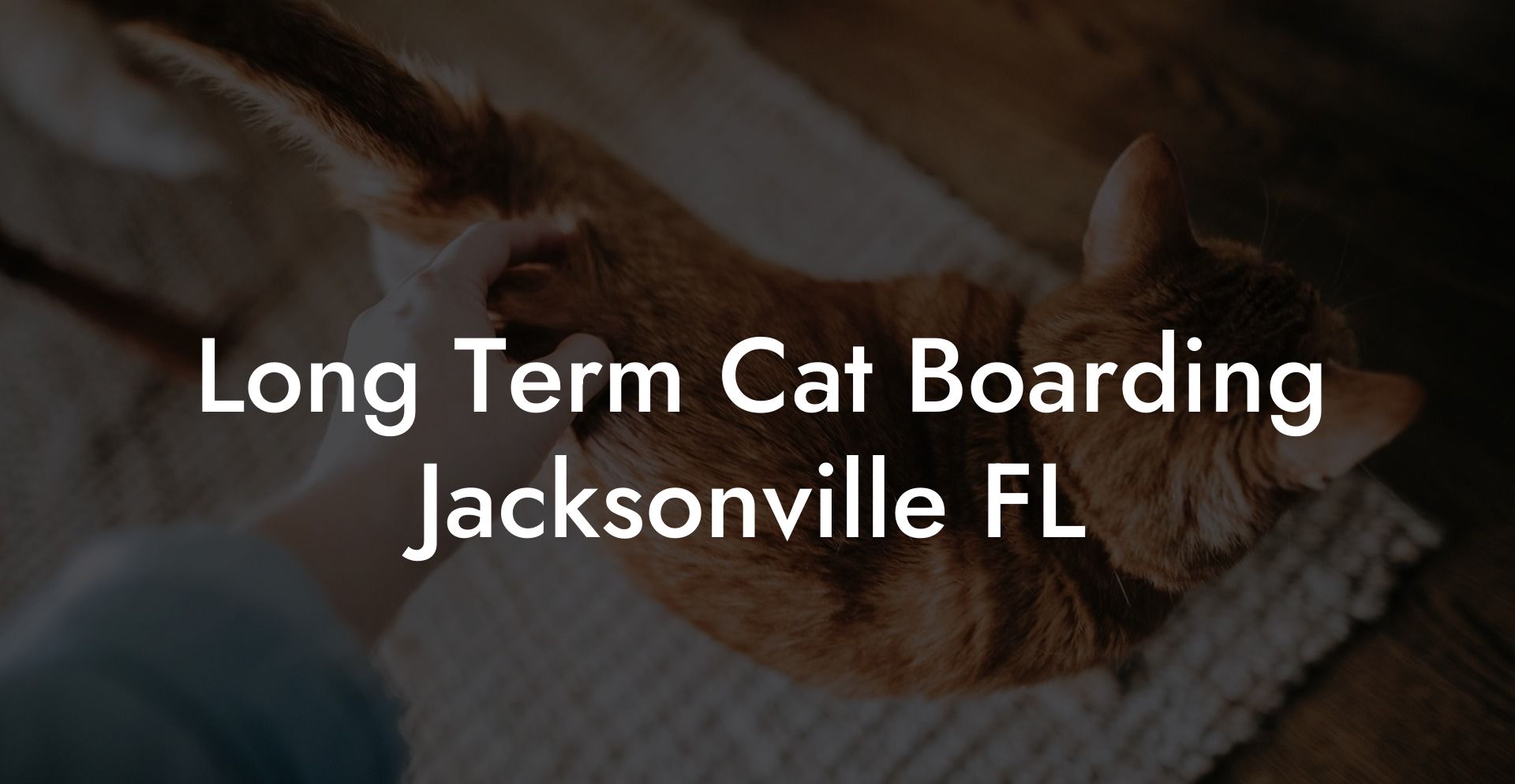 Long Term Cat Boarding Jacksonville FL