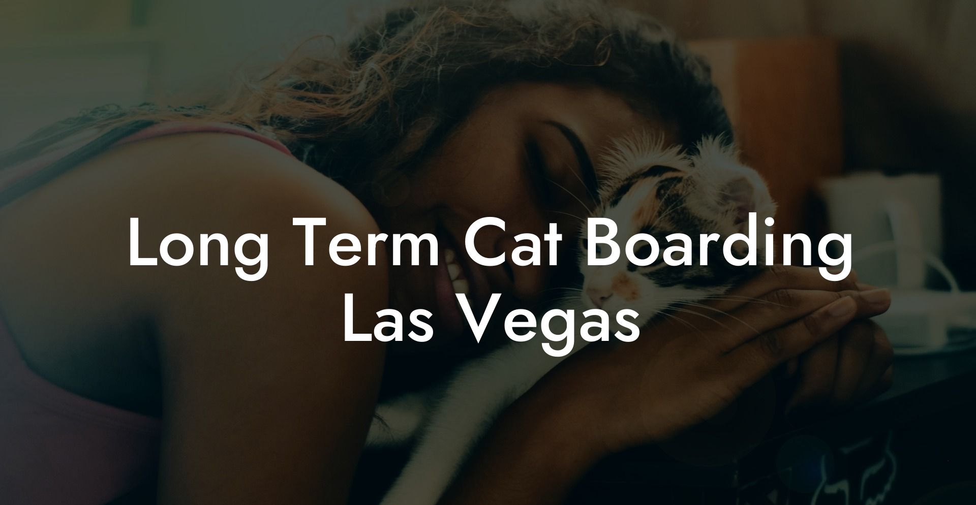 Long Term Cat Boarding Las Vegas