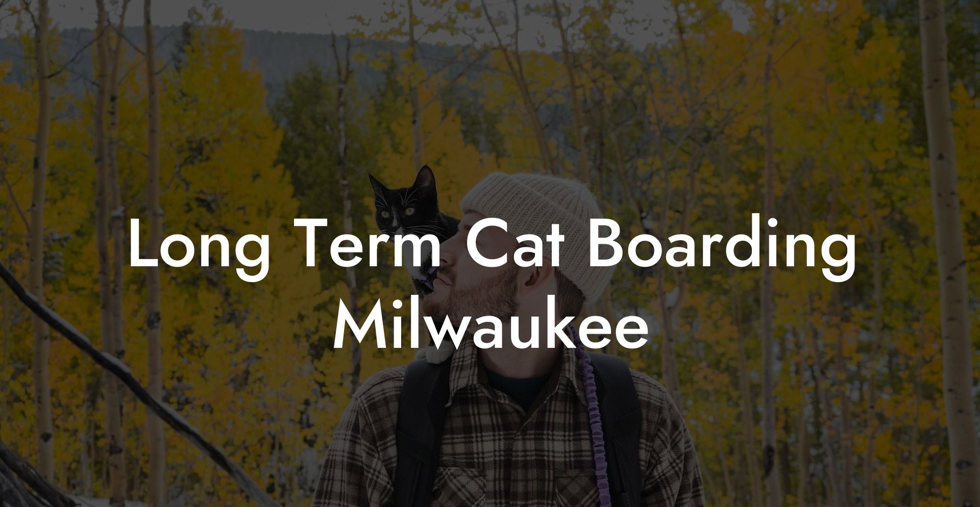 Long Term Cat Boarding Milwaukee
