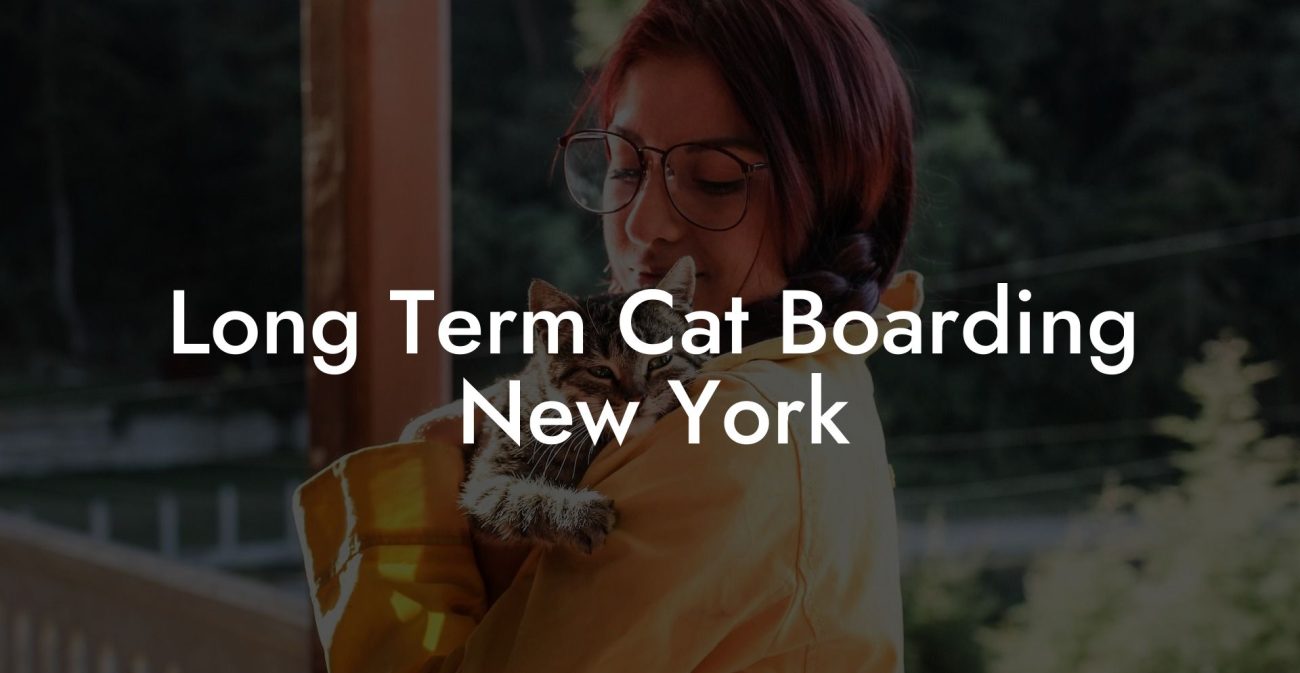 Long Term Cat Boarding New York Cat Hotels