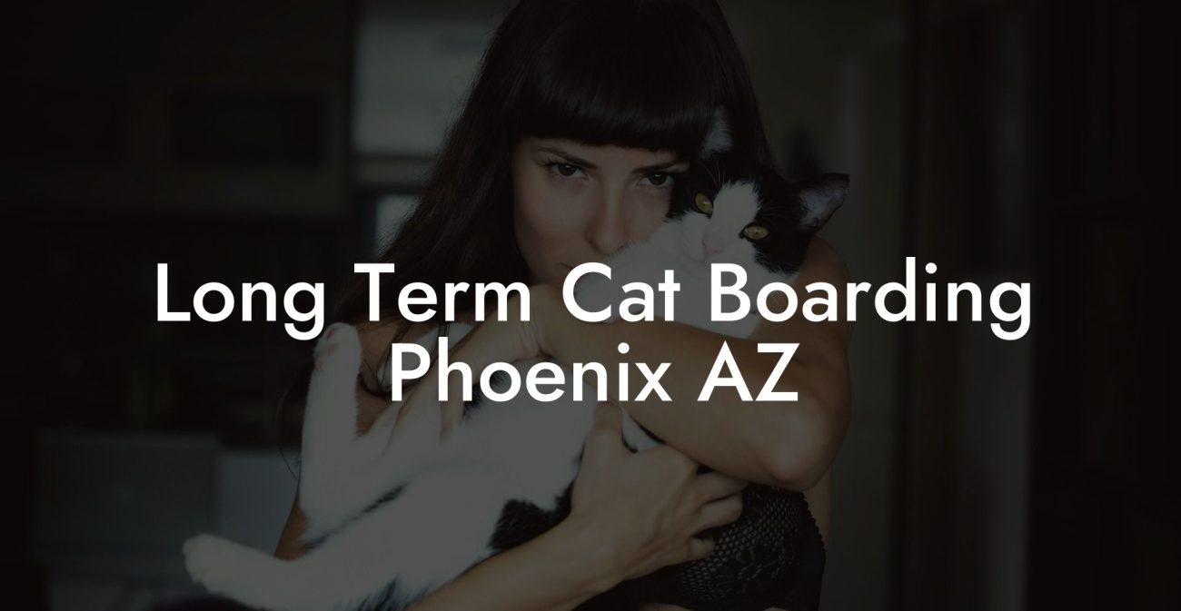 Long Term Cat Boarding Phoenix AZ