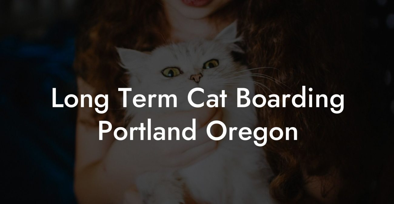 Long Term Cat Boarding Portland Oregon