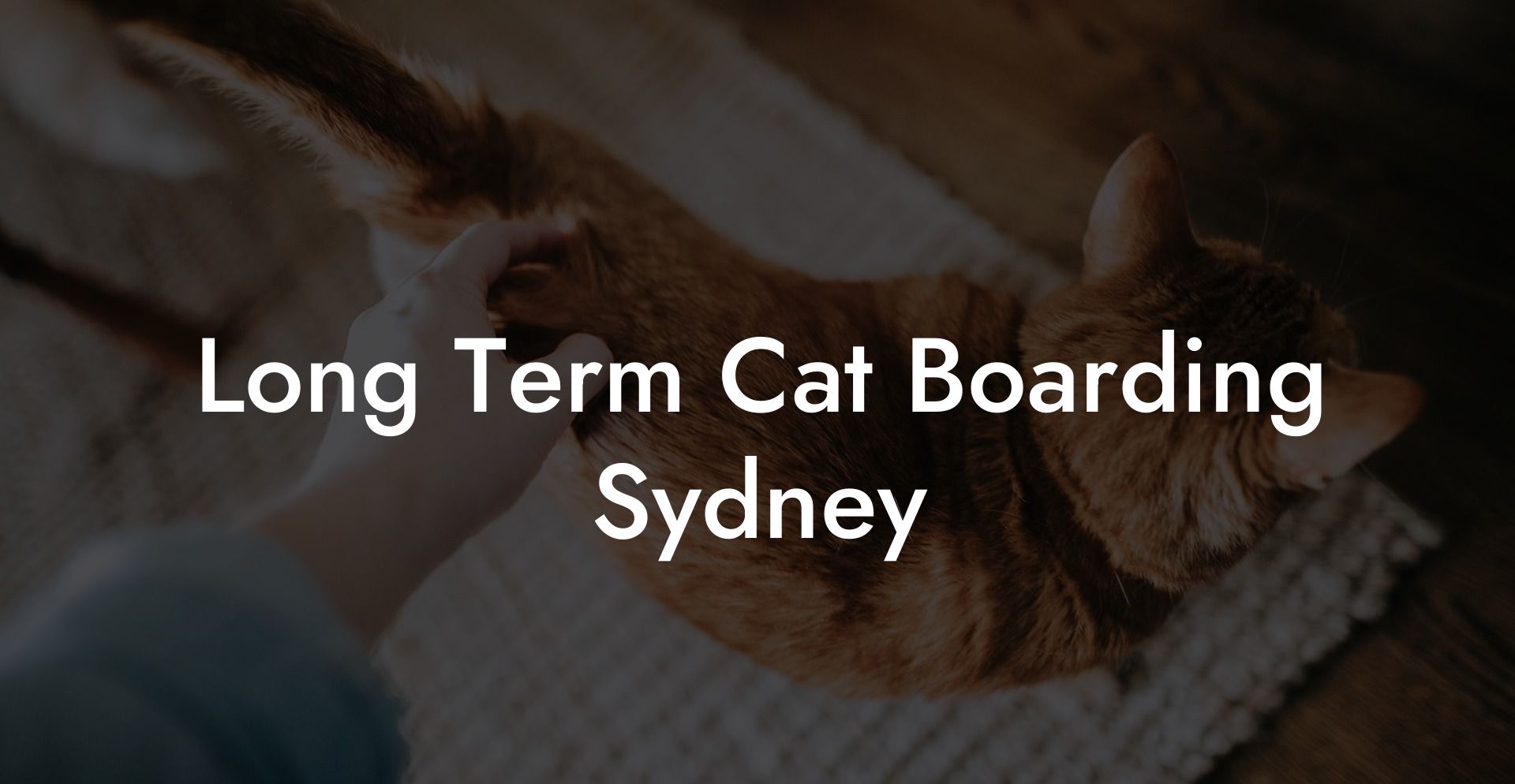 Long Term Cat Boarding Sydney