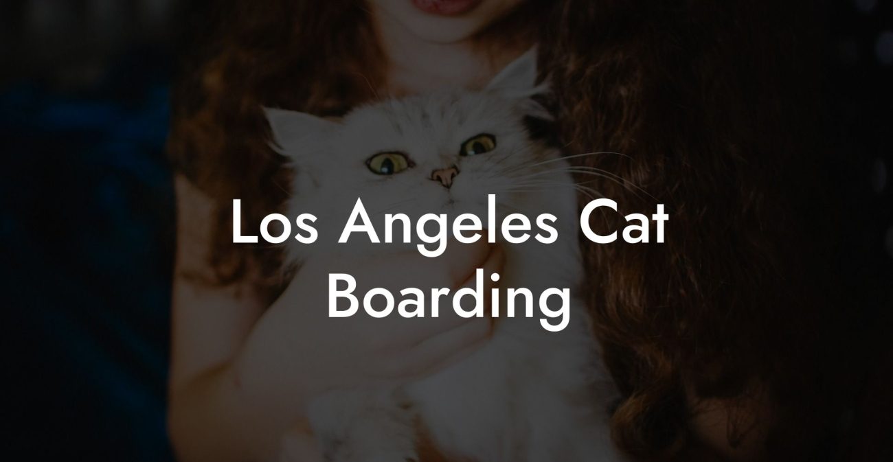 Los Angeles Cat Boarding My Cat Hotels 1300x673 