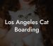 Los Angeles Cat Boarding
