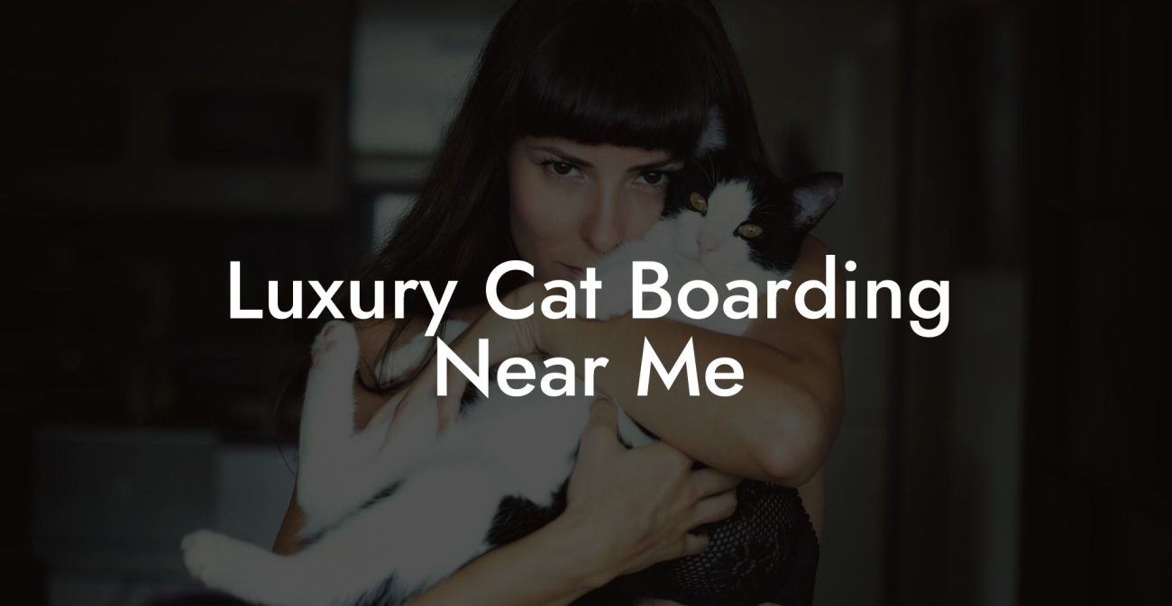 Luxury Cat Boarding Near Me