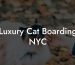 Luxury Cat Boarding NYC