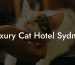 Luxury Cat Hotel Sydney
