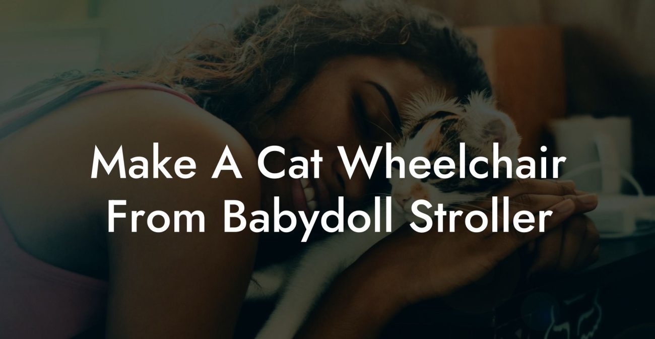 Make A Cat Wheelchair From Babydoll Stroller