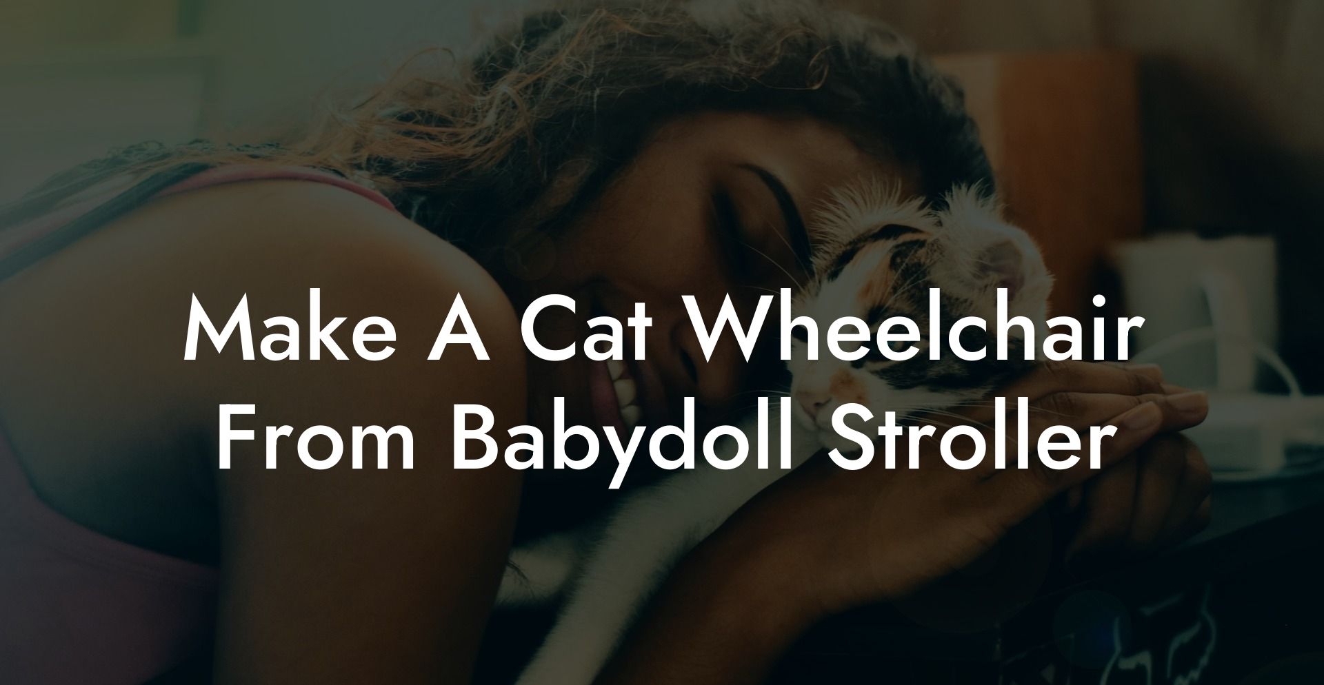 Make A Cat Wheelchair From Babydoll Stroller