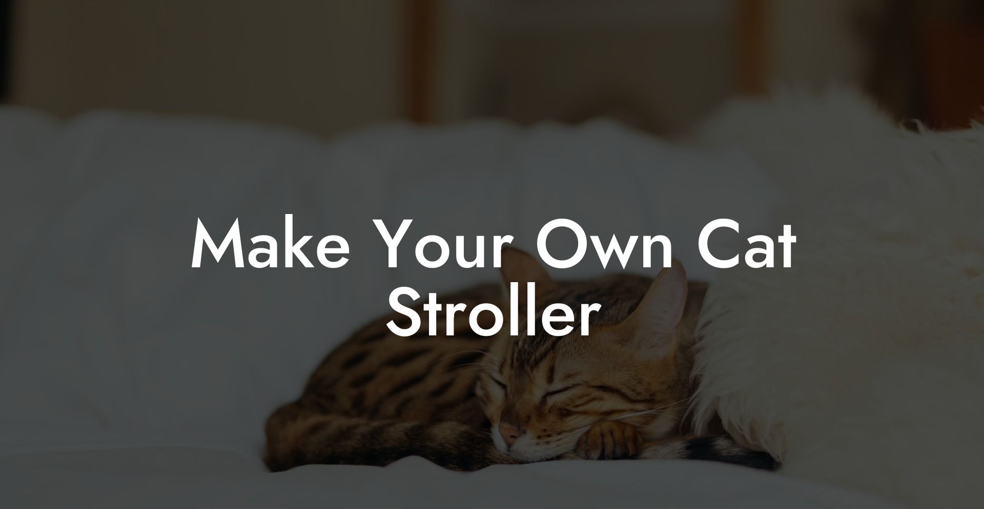 Make Your Own Cat Stroller