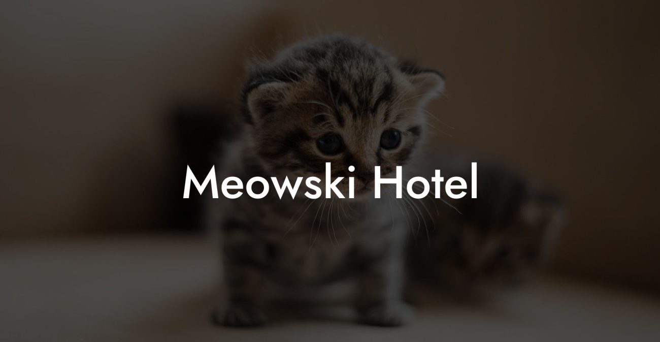 Meowski Hotel