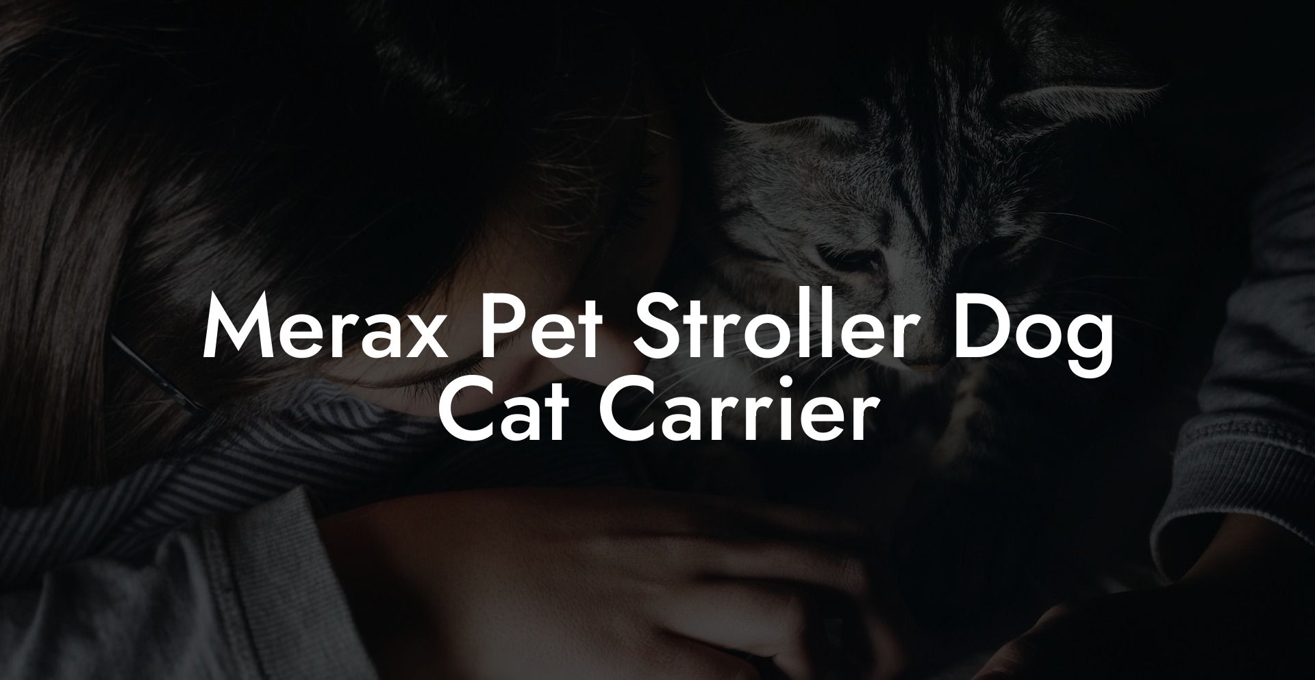 Merax Pet Stroller Dog Cat Carrier