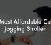 Most Affordable Cat Jogging Stroller