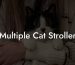 Multiple Cat Stroller