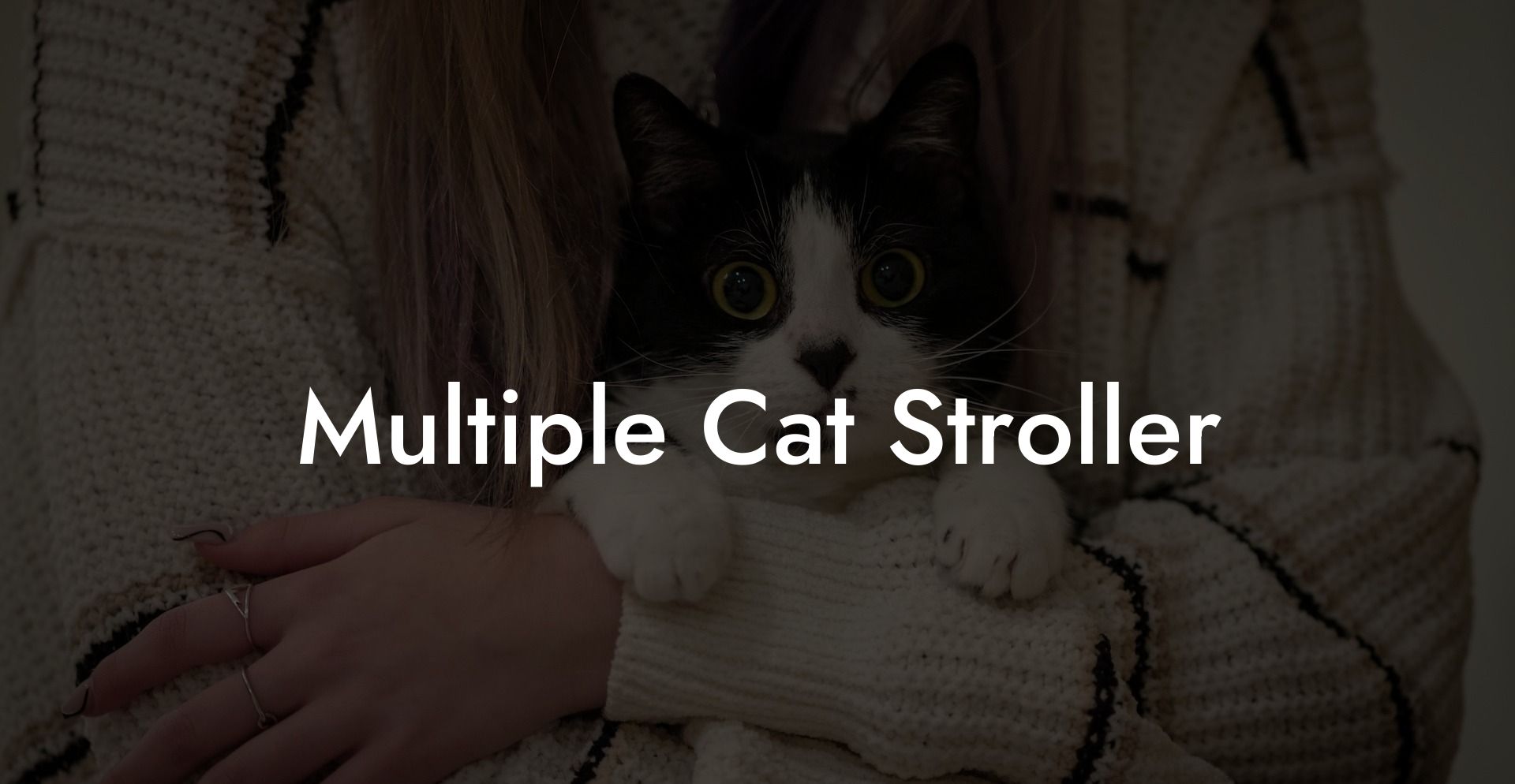 Multiple Cat Stroller