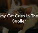 My Cat Cries In The Stroller
