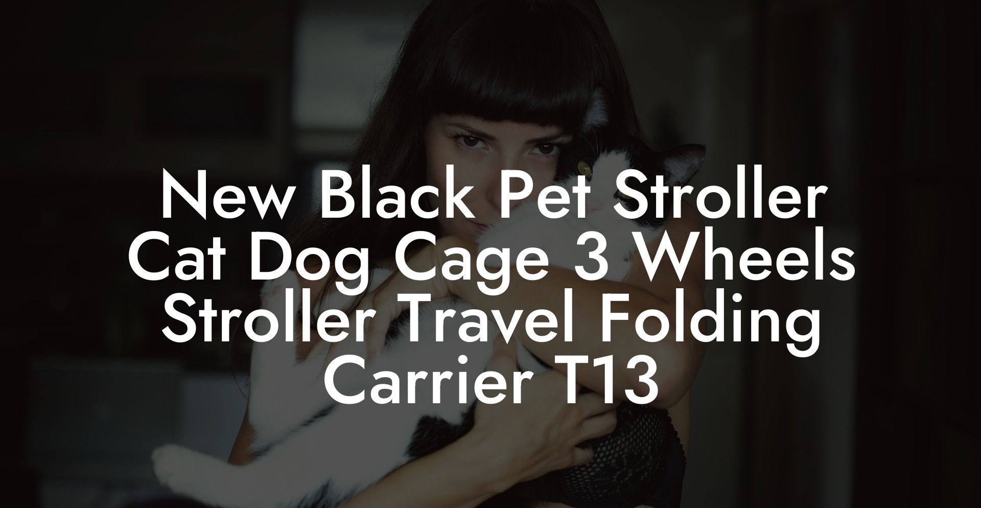New Black Pet Stroller Cat Dog Cage 3 Wheels Stroller Travel Folding Carrier T13