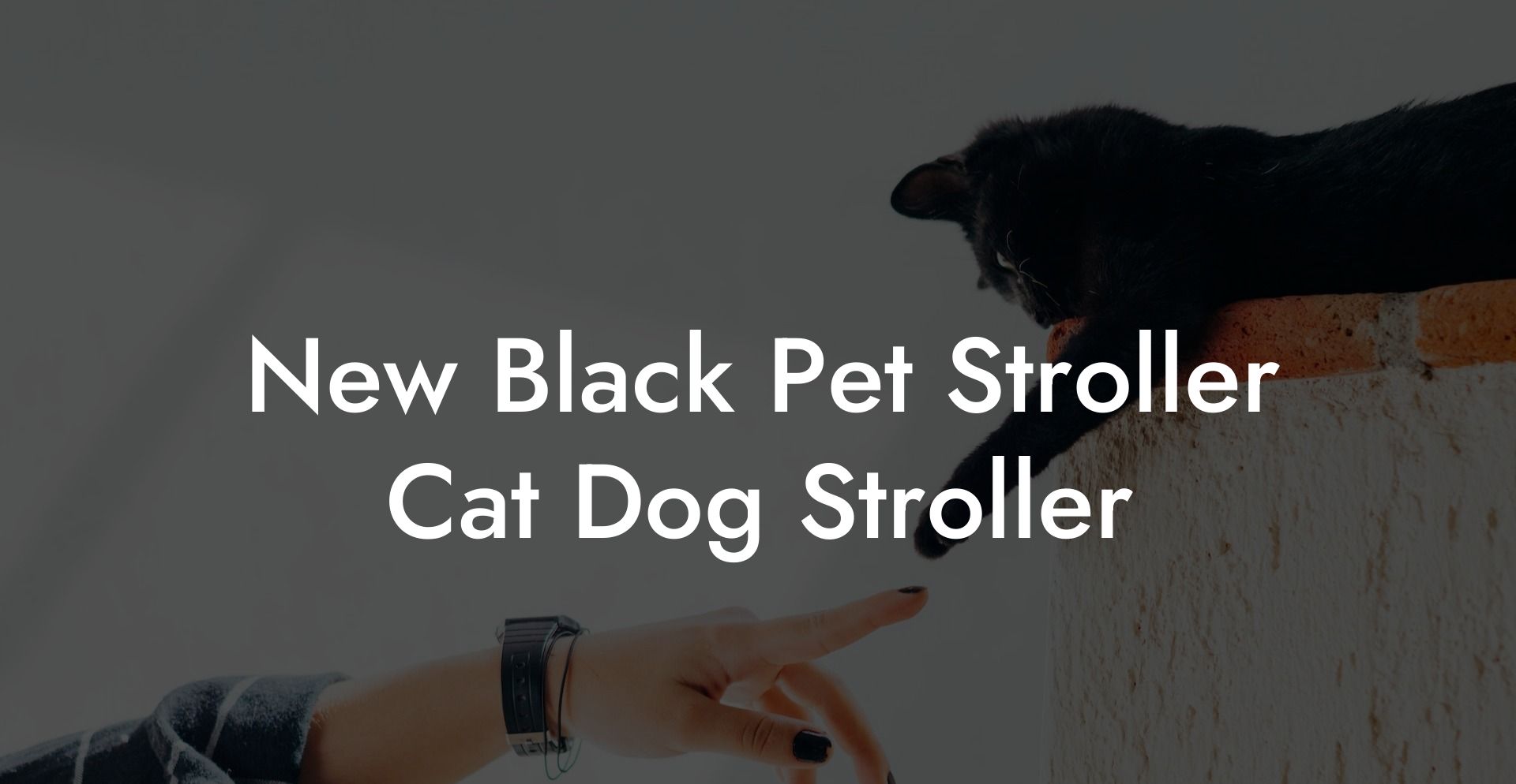 New Black Pet Stroller Cat Dog Stroller