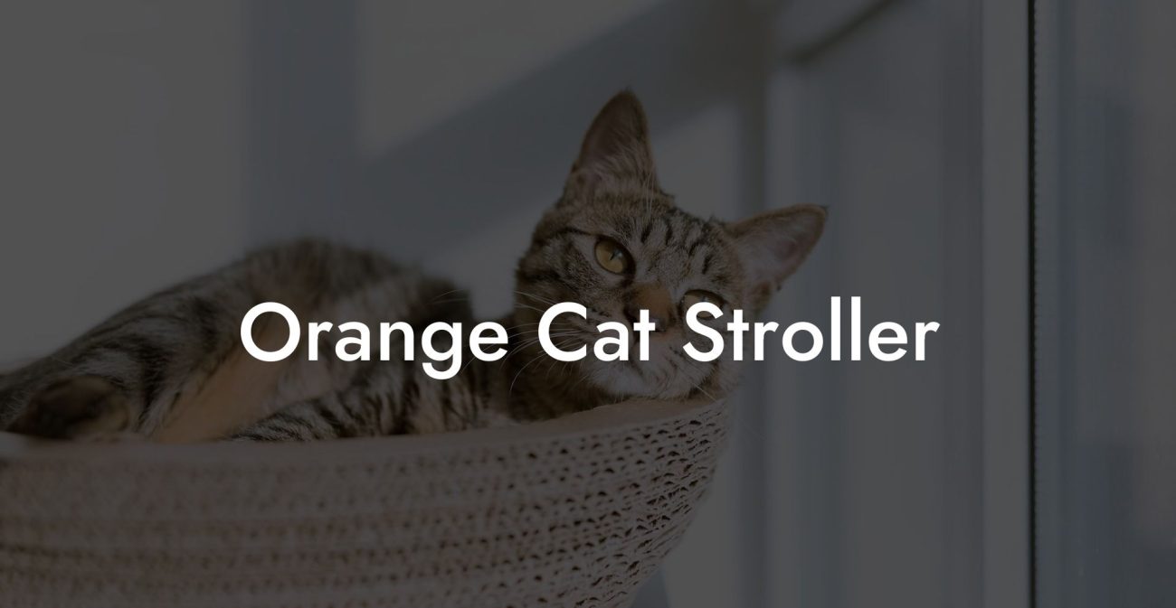 Orange Cat Stroller