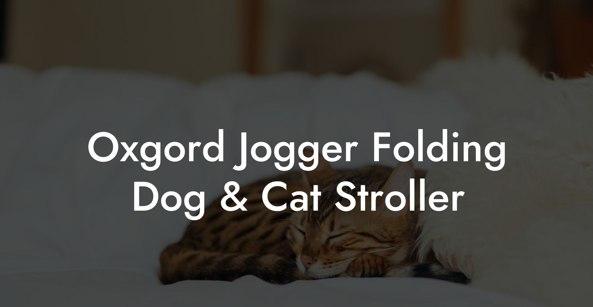 Oxgord Jogger Folding Dog & Cat Stroller