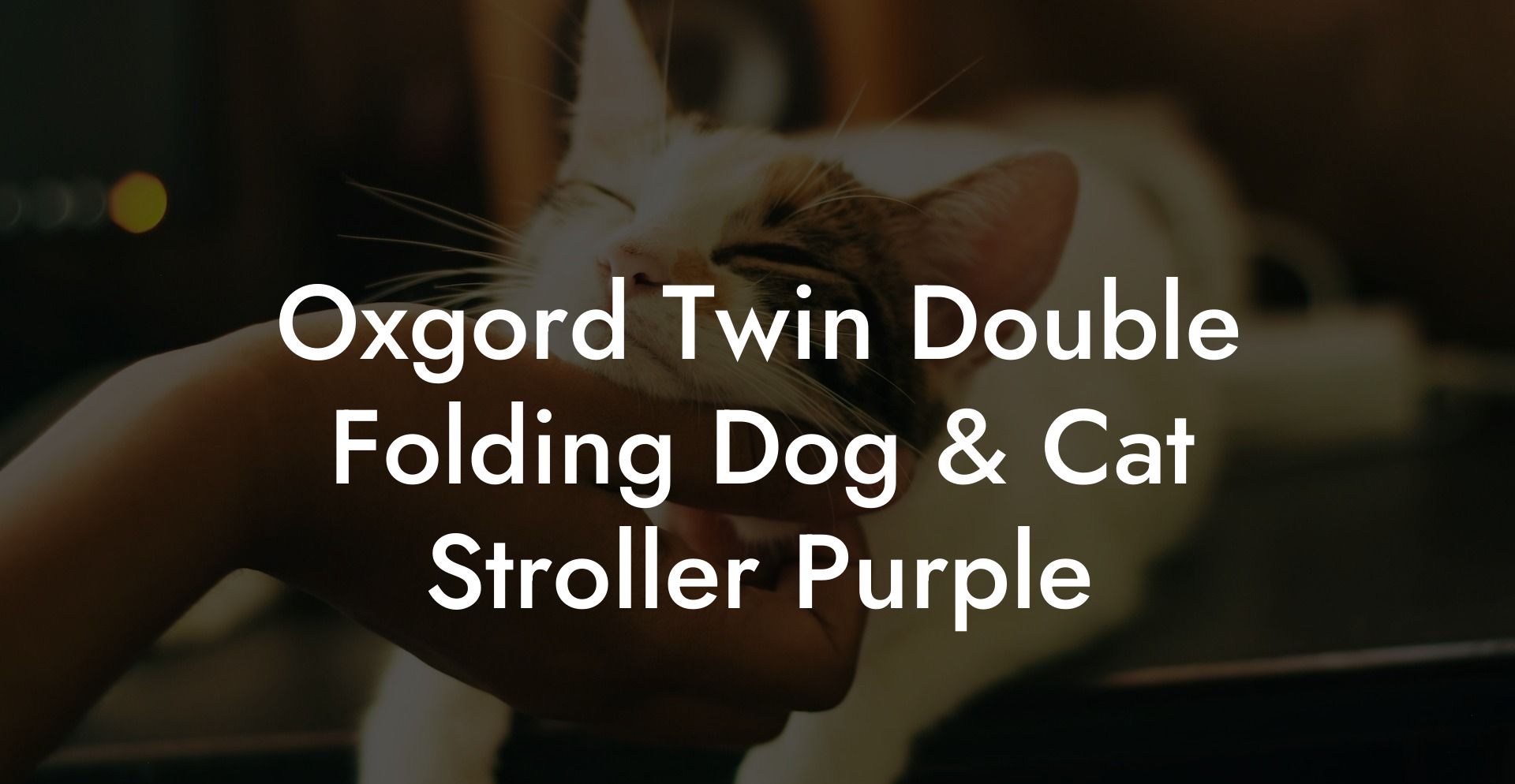 Oxgord Twin Double Folding Dog & Cat Stroller Purple