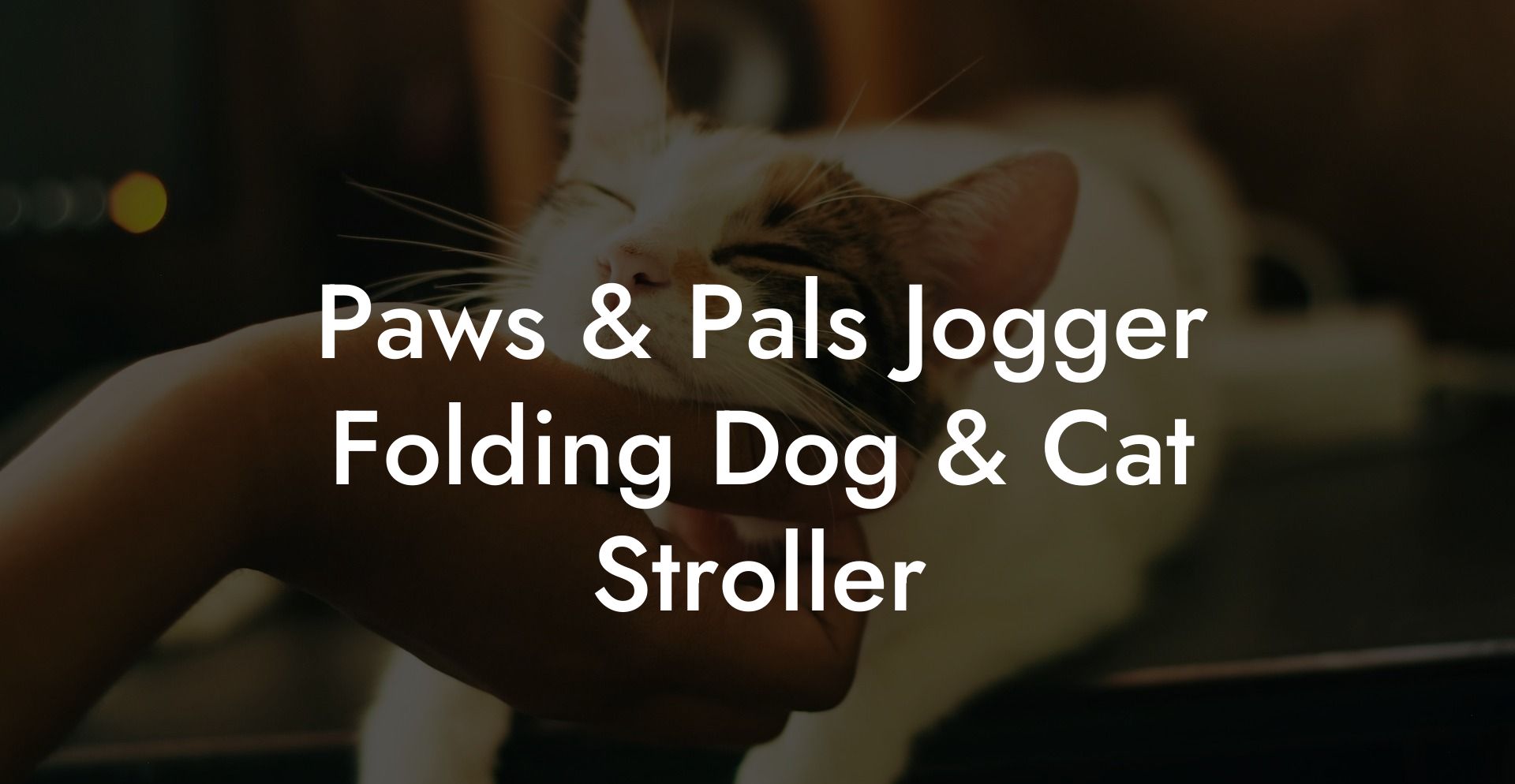 Paws & Pals Jogger Folding Dog & Cat Stroller