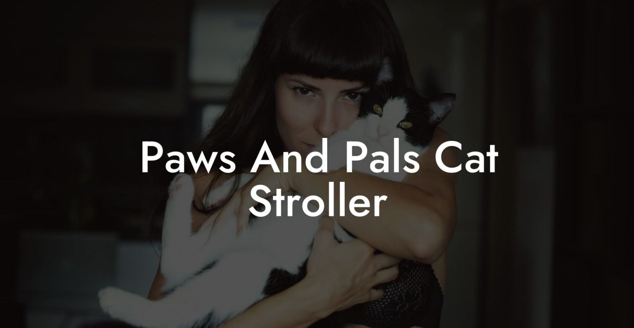 Paws And Pals Cat Stroller