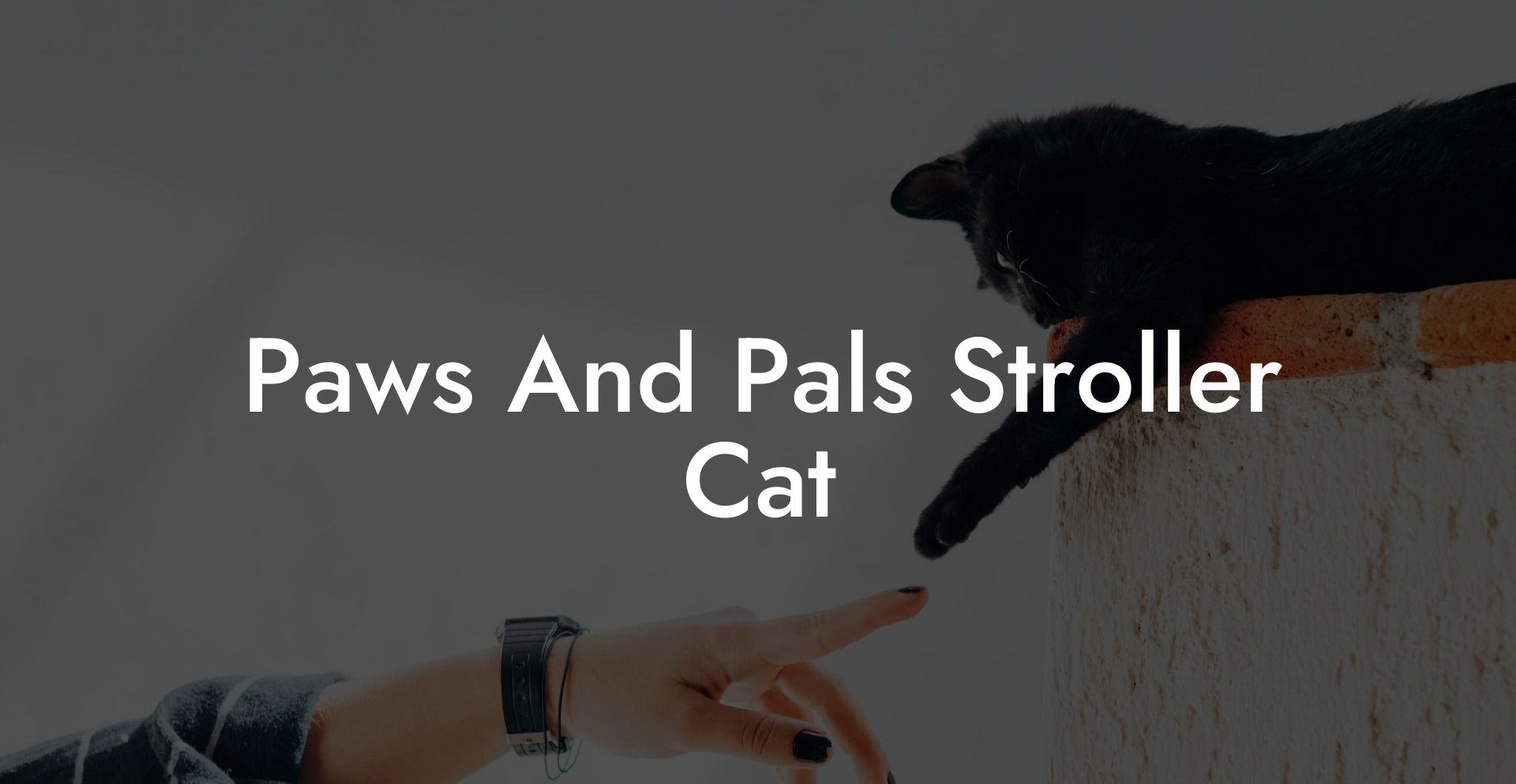 Paws And Pals Stroller Cat