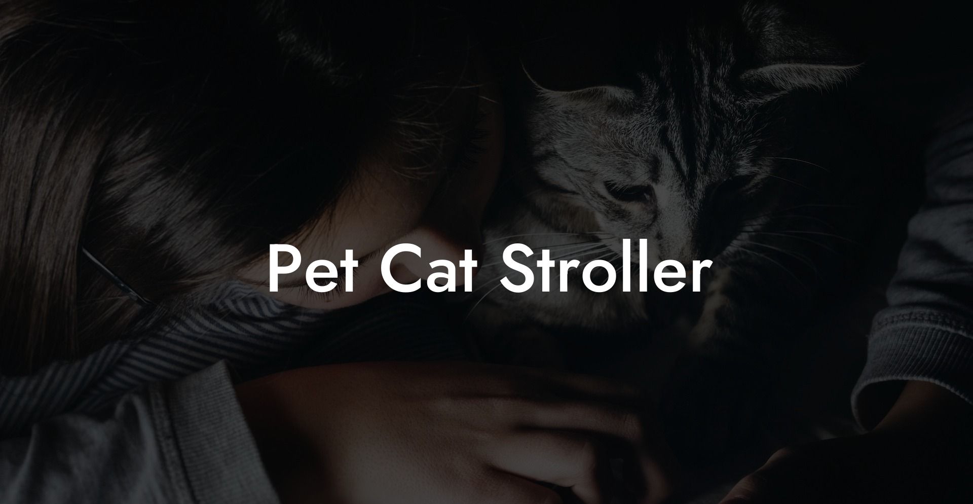 Pet Cat Stroller