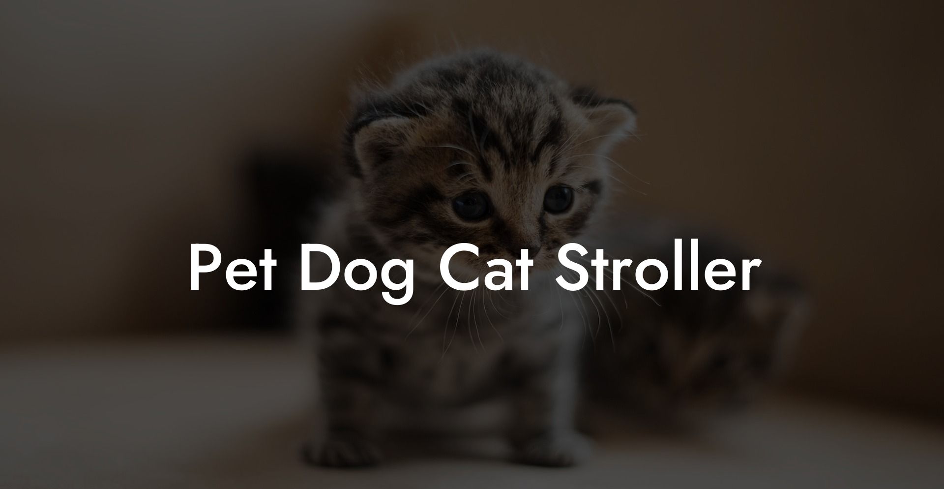 Pet Dog Cat Stroller