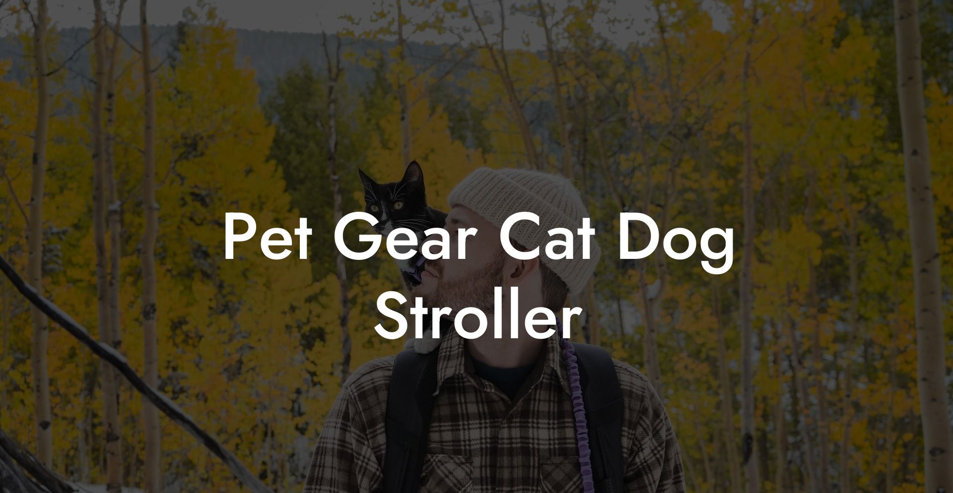 Pet Gear Cat Dog Stroller