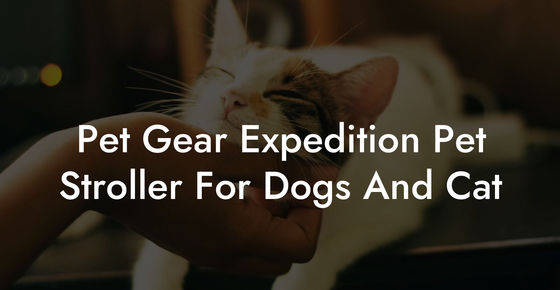 Pet Gear Expedition Pet Stroller For Dogs And Cat