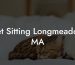 Pet Sitting Longmeadow MA