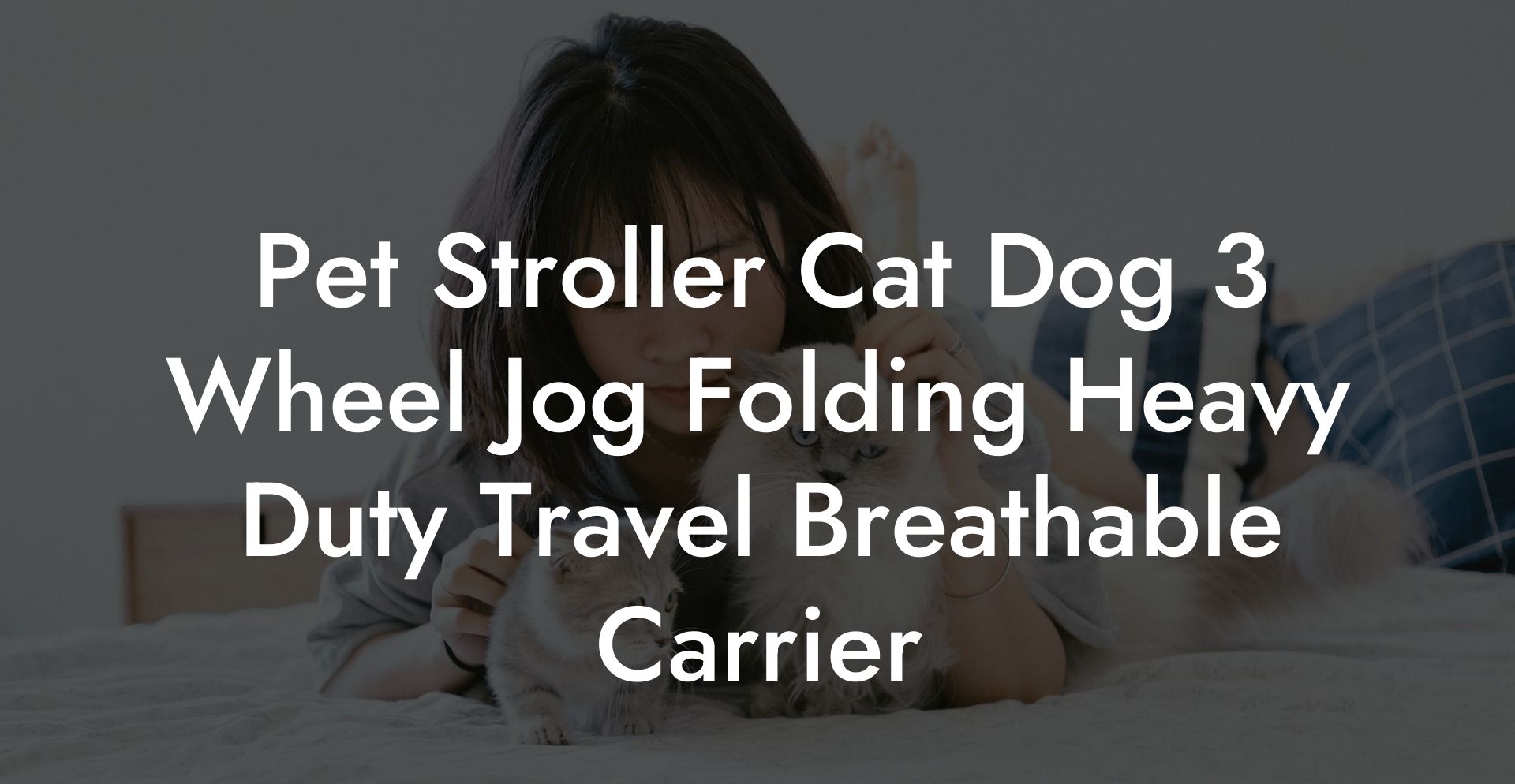 Pet Stroller Cat Dog 3 Wheel Jog Folding Heavy Duty Travel Breathable Carrier